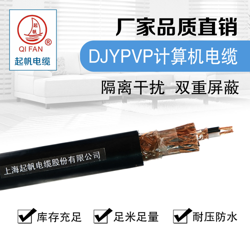 计算机电缆-DJYPVP-32-300/500V