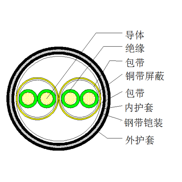 钢带铠装聚氯乙烯护套计算机电缆-DJYP2V22-300/