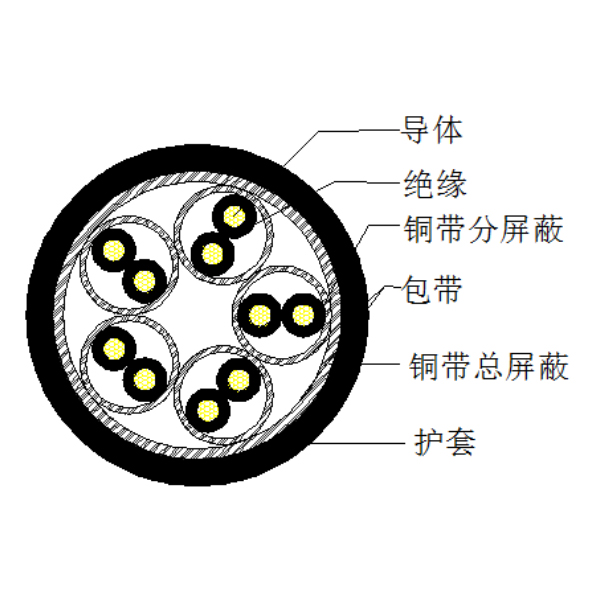  聚氯乙烯护套计算机电缆-DJYP2VP2-300/500V
