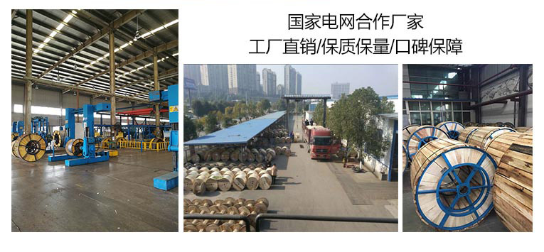 起帆电缆厂区一角